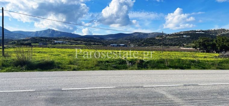 Αγροτεμάχιο πάνω στην επαρχιακή οδό